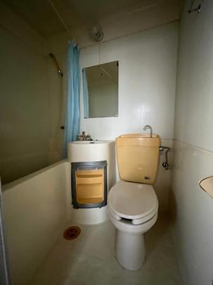 ���ꌧ����s�������̓����p�E���v�����̉摜